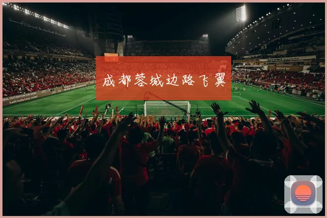 成都蓉城边路飞翼