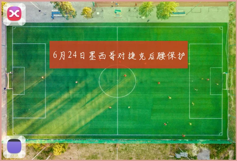 6月24日墨西哥对捷克后腰保护
