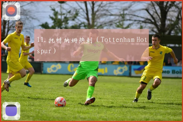 11.托特纳姆热刺（Tottenham Hotspur）