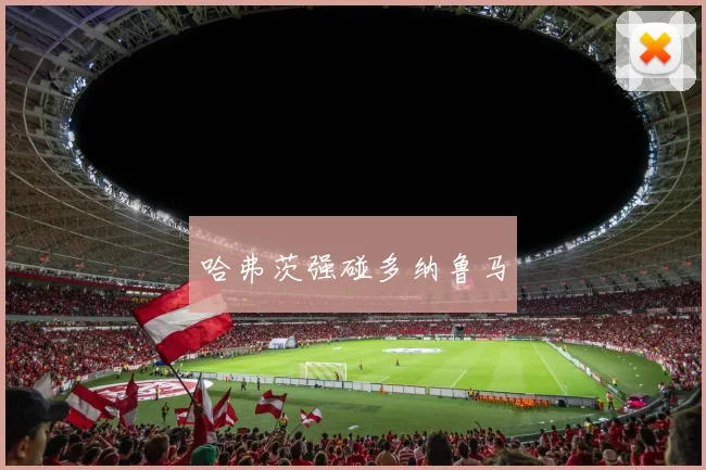 哈弗茨强碰多纳鲁马