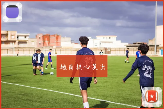 越南核心复出