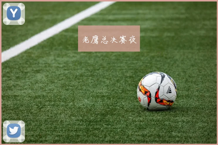 老鹰总决赛夜