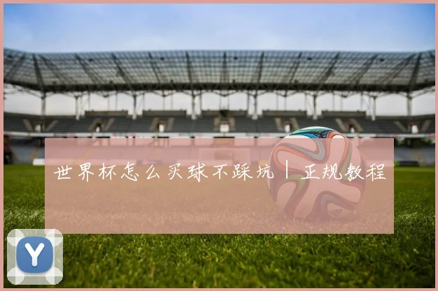 世界杯怎么买球不踩坑｜正规教程