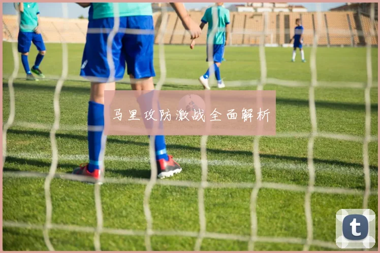 马里攻防激战全面解析