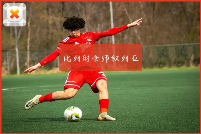 比利时会师叙利亚