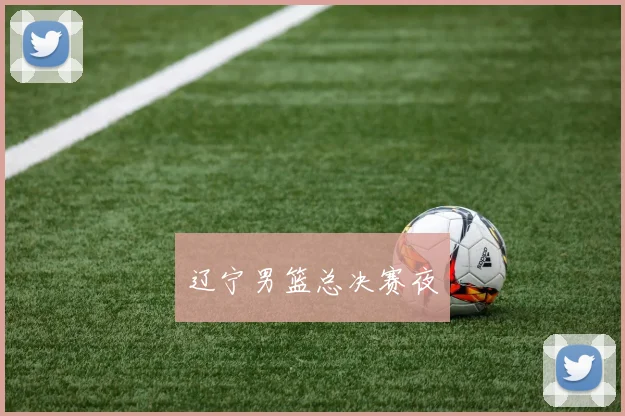 辽宁男篮总决赛夜
