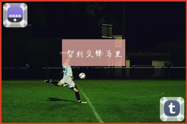 智利交锋马里