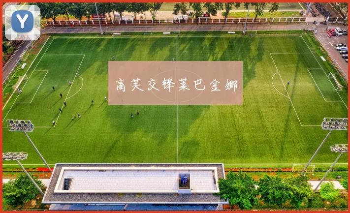 高芙交锋莱巴金娜