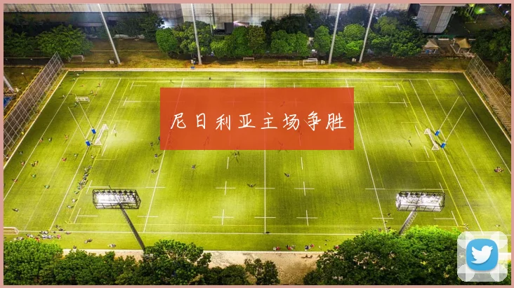 尼日利亚主场争胜