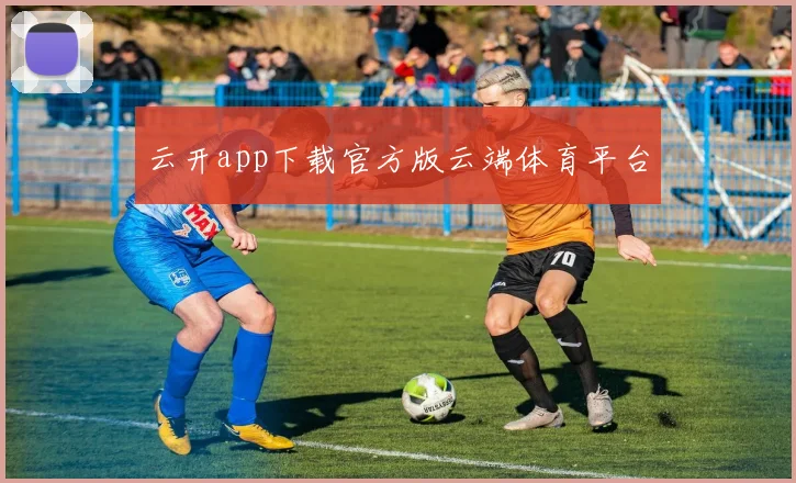 云开app下载官方版云端体育平台