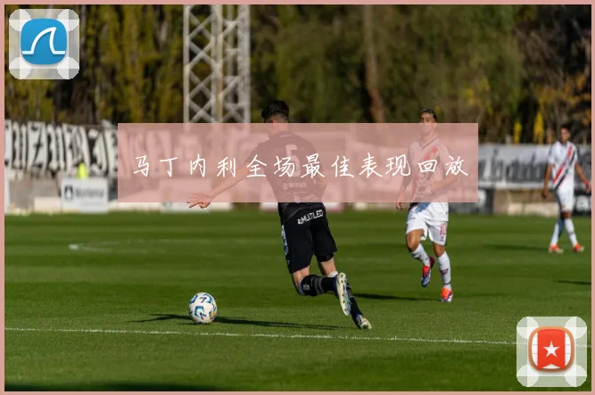 马丁内利全场最佳表现回放