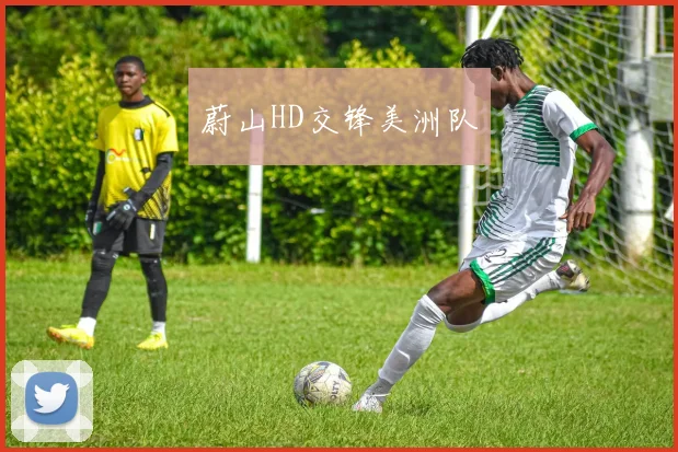 蔚山HD交锋美洲队
