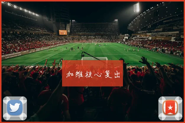 加维核心复出