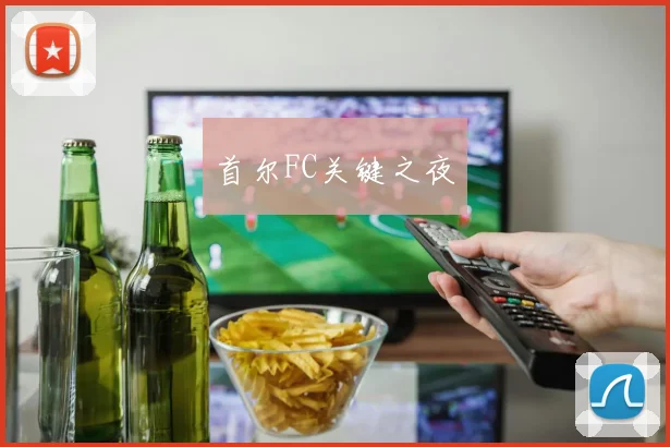 首尔FC关键之夜