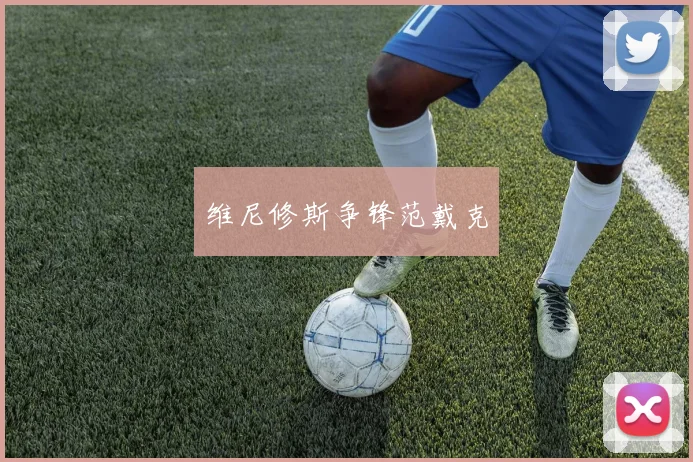 维尼修斯争锋范戴克