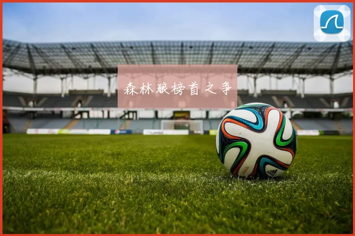 森林狼榜首之争