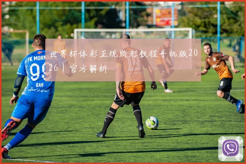 世界杯体彩正规购彩教程手机版2026｜官方解析