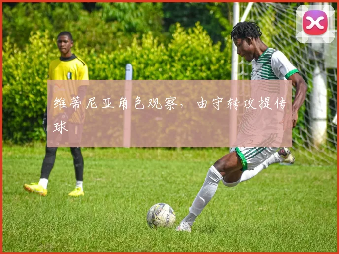维蒂尼亚角色观察，由守转攻提传球