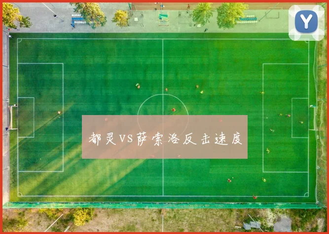 都灵vs萨索洛反击速度
