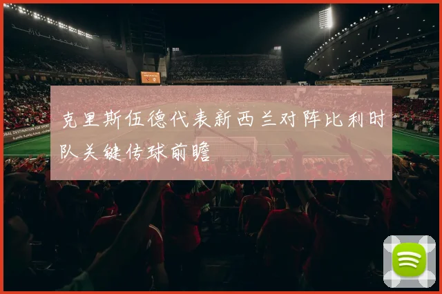 克里斯伍德代表新西兰对阵比利时队关键传球前瞻