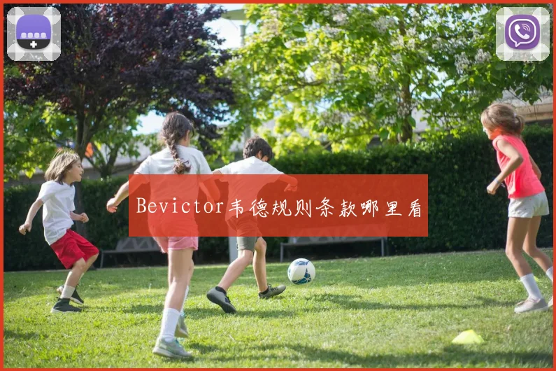 Bevictor韦德规则条款哪里看